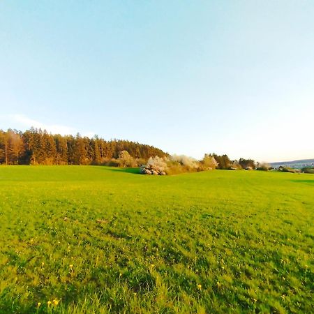 Hochwertige Wohnung Mit Parkplatz Im Schoenen Schwarzwald Altensteig Exterior foto