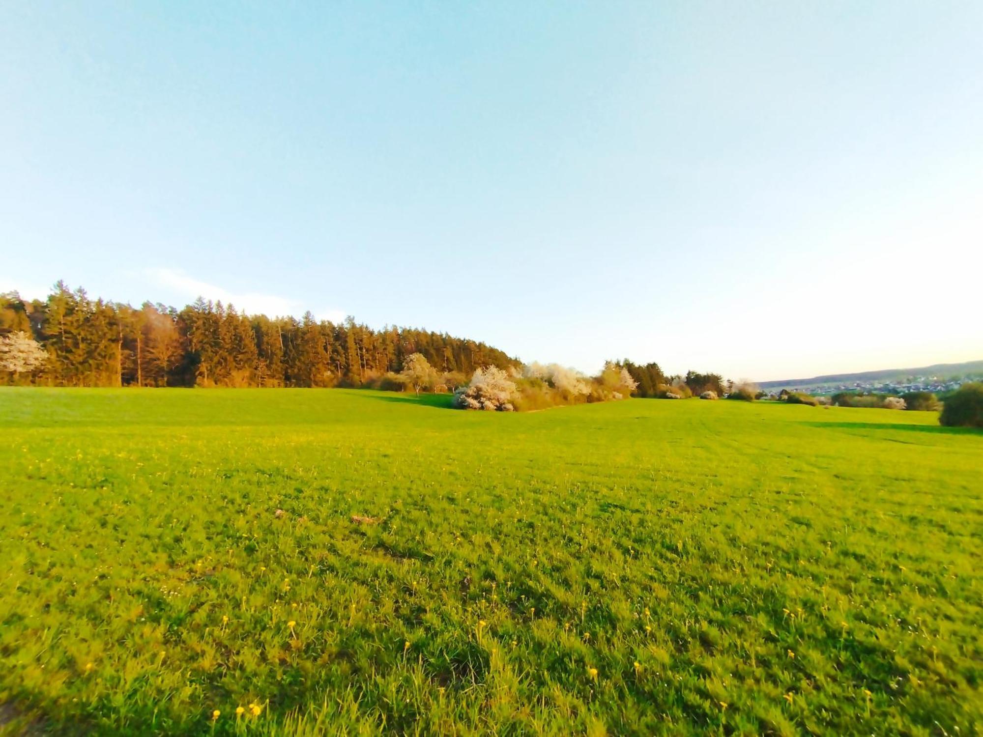 Hochwertige Wohnung Mit Parkplatz Im Schoenen Schwarzwald Altensteig Exterior foto